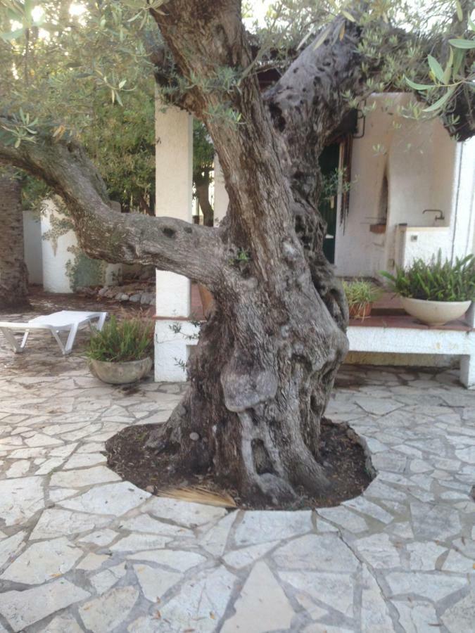 Oasis Villa Riumar Buitenkant foto